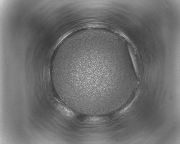 X0000066100829200603171354