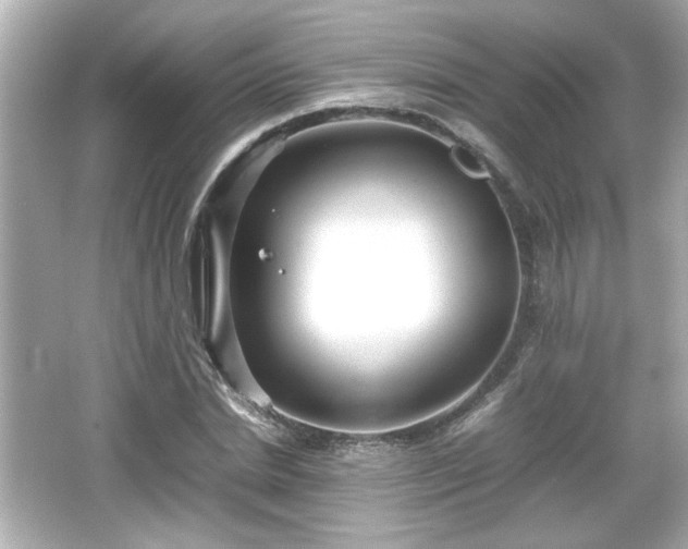 X0000066100830200603171354