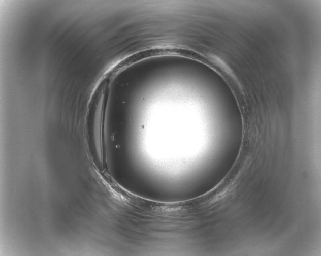 X0000066100831200603171354