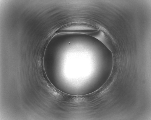 X0000066100833200603171354