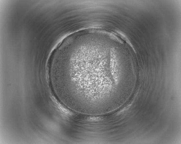 X0000066100835200603171354