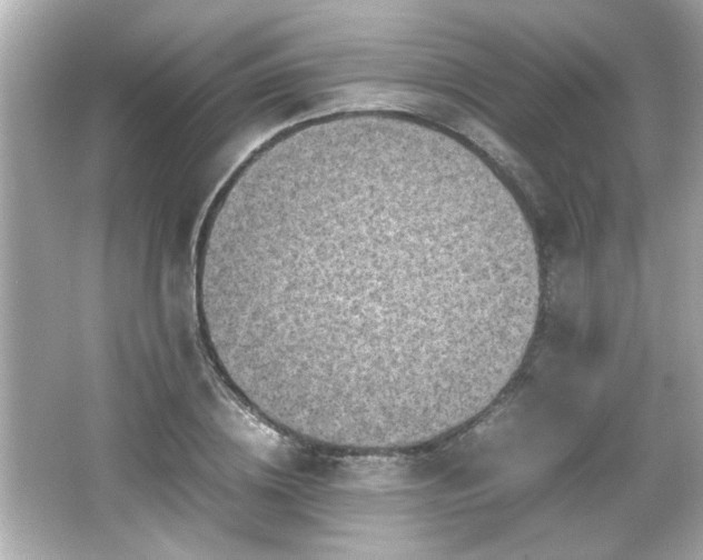 X0000066100836200603171354