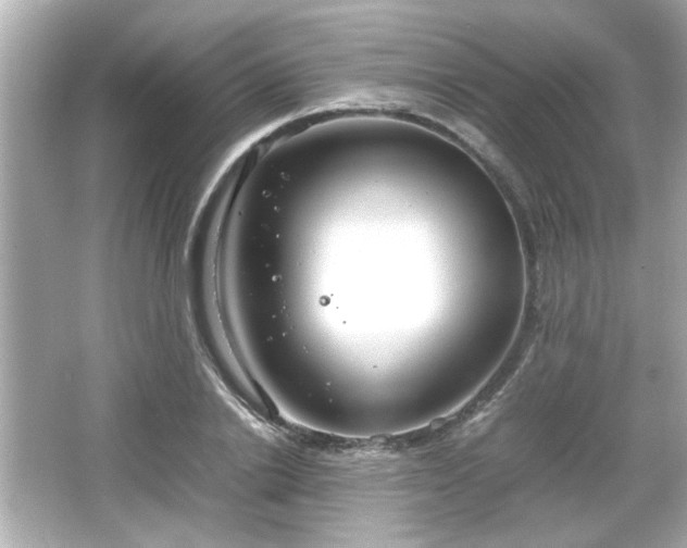 X0000066100838200603171354