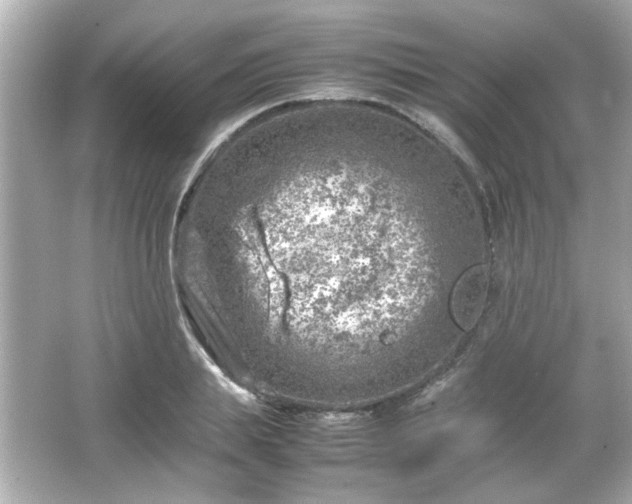 X0000066100839200603171355