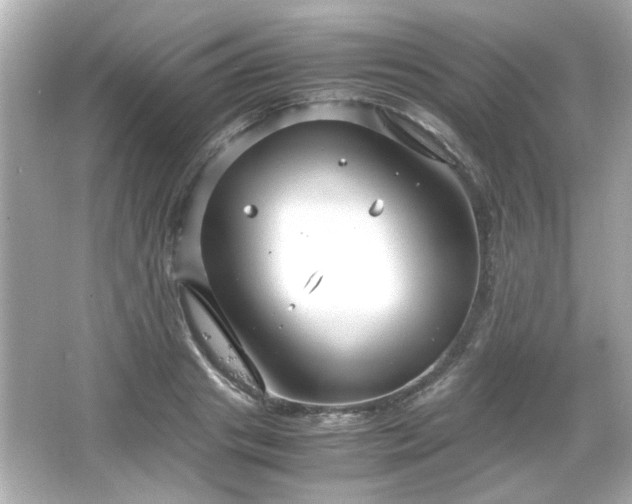 X0000066100841200603171355