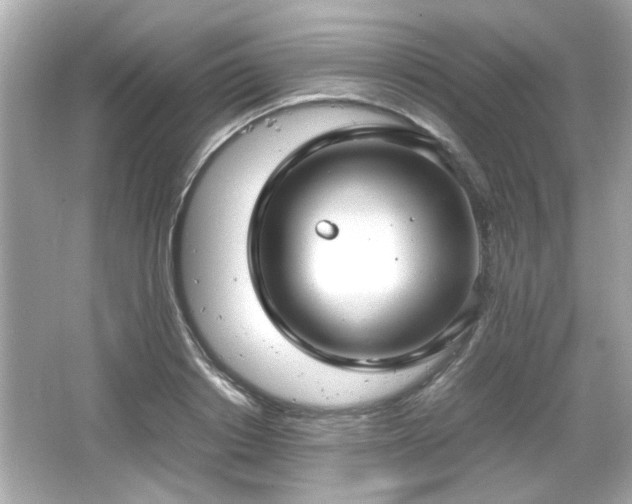 X0000066100842200603171355