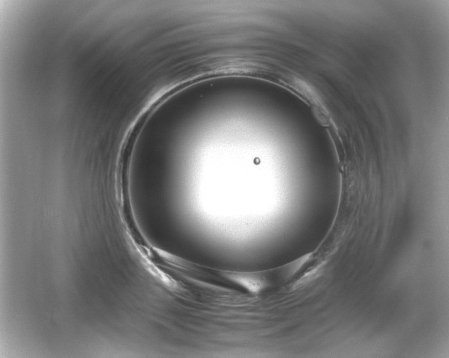 X0000066100843200603171355