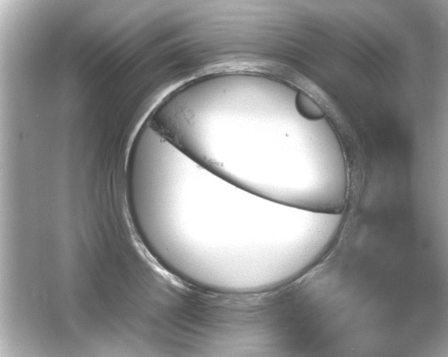 X0000066100844200603171355