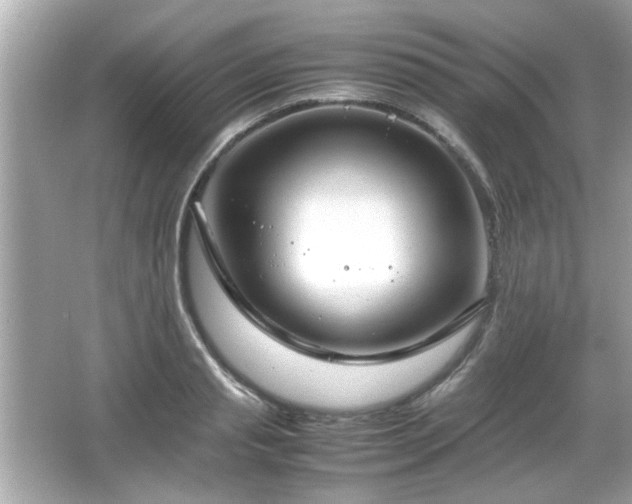 X0000066100845200603171355