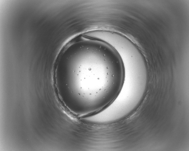 X0000066100846200603171355