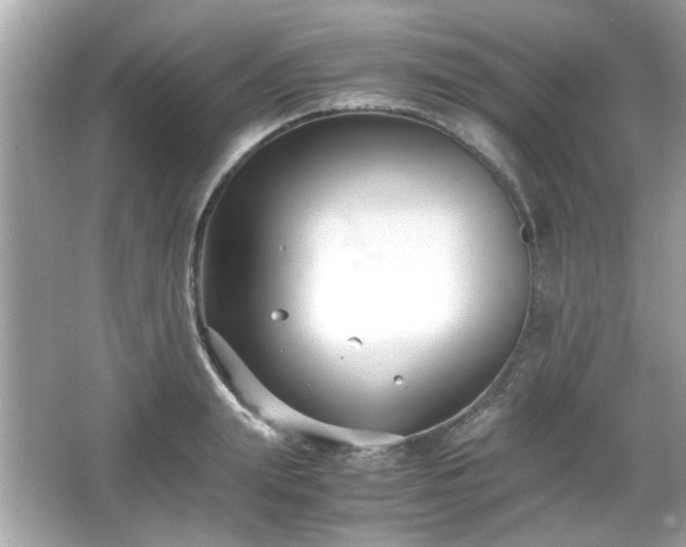 X0000066100847200603171355