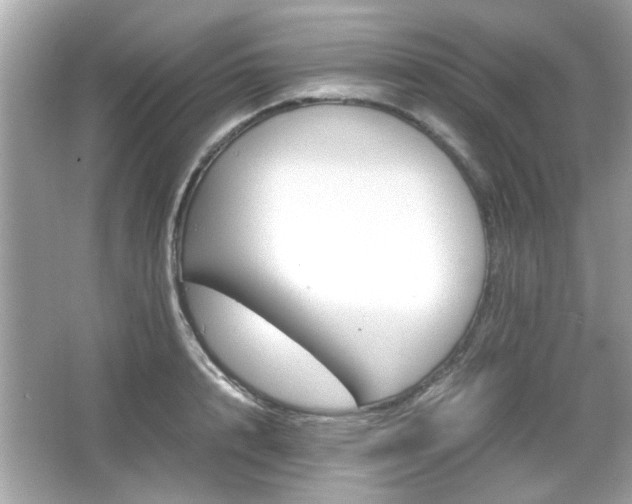 X0000066100848200603171355