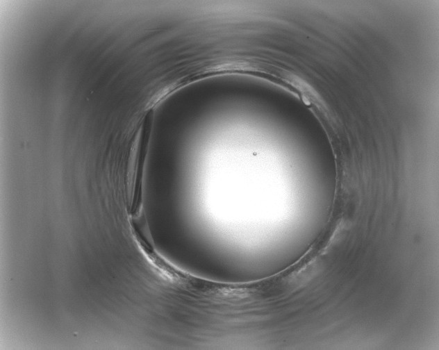 X0000066100849200603171355