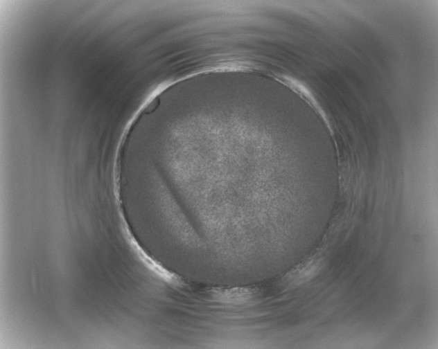 X0000066100851200603171355