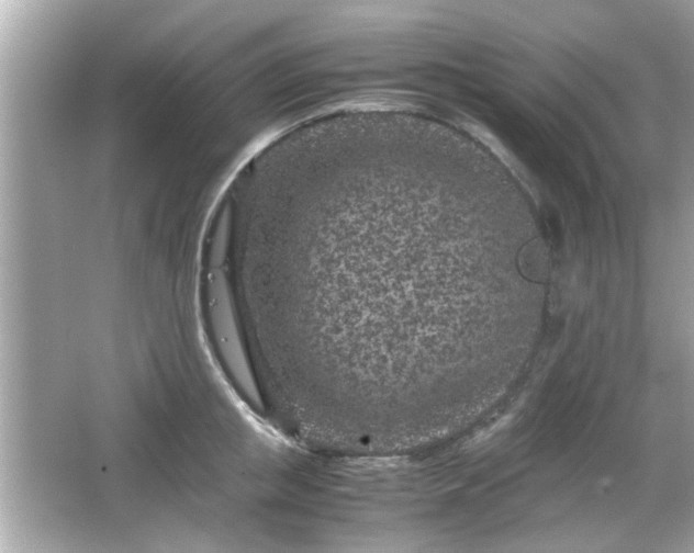 X0000066100853200603171355