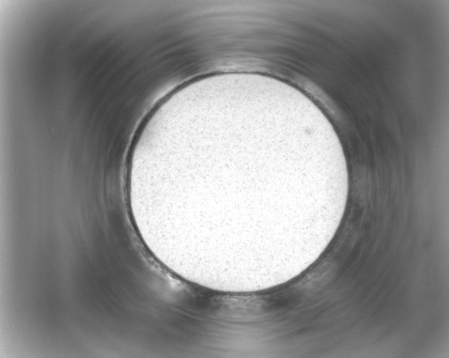 X0000066100856200603171355