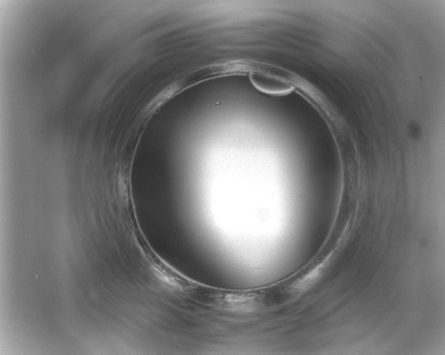 X0000066100857200603171355