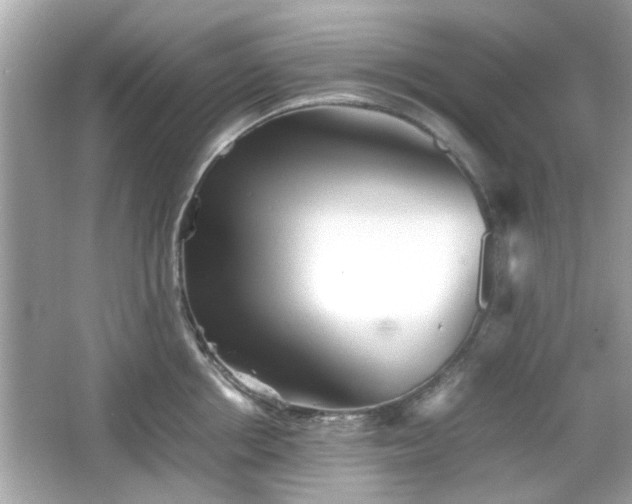 X0000066100858200603171355