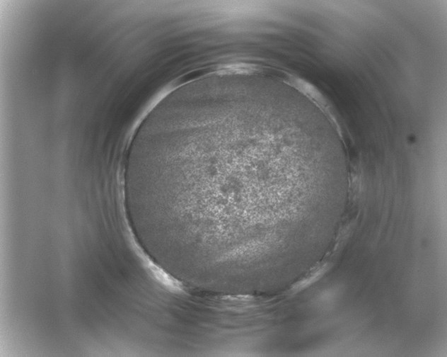 X0000066100859200603171355