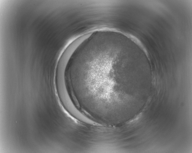 X0000066100863200603171355