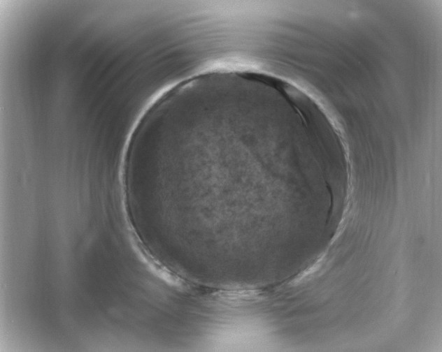 X0000066100864200603171355