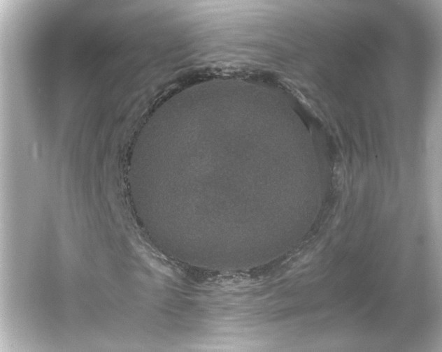 X0000066100865200603171354