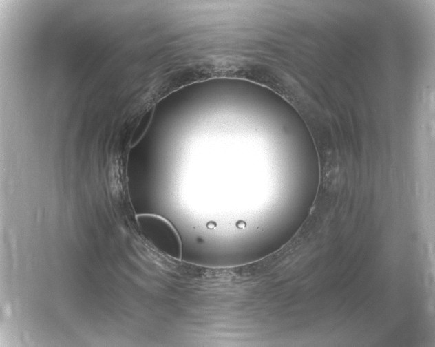 X0000066100866200603171354