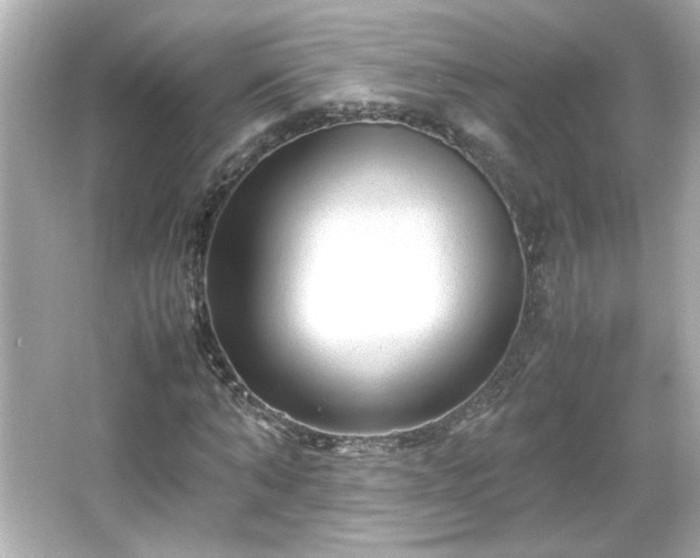 X0000066100870200603171354