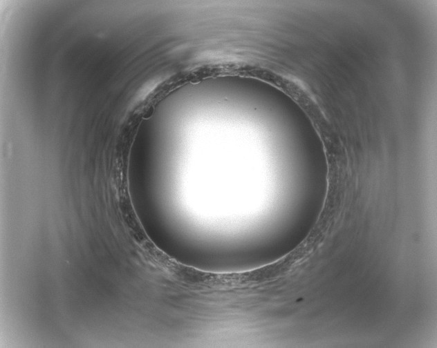 X0000066100871200603171354