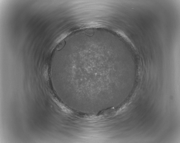 X0000066100873200603171354