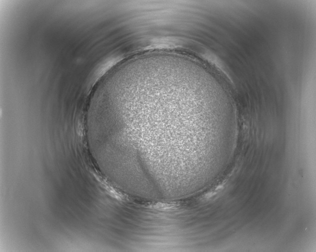 X0000066100874200603171354