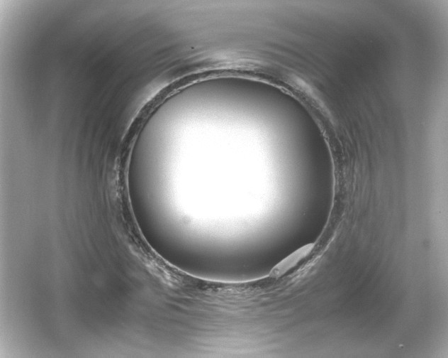 X0000066100875200603171354