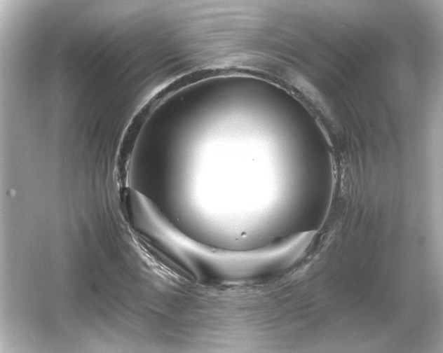 X0000066100876200603171354