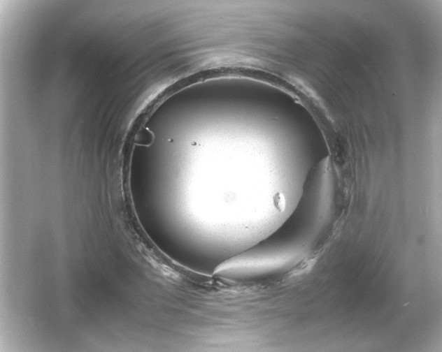 X0000066100877200603171354