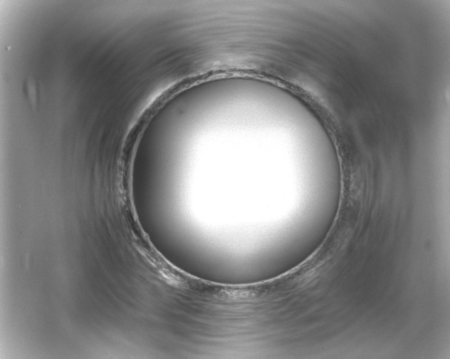 X0000066100878200603171354