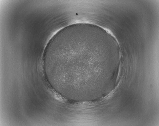 X0000066100879200603171354