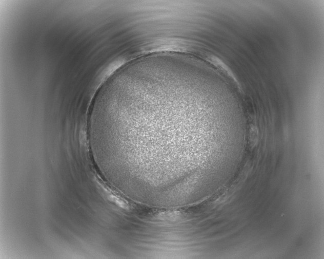 X0000066100882200603171354