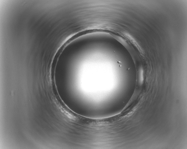 X0000066100884200603171354