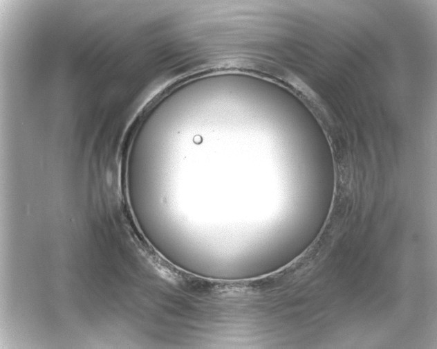 X0000066100886200603171354