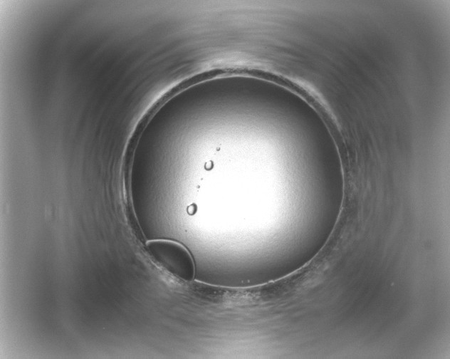 X0000066100887200603171354