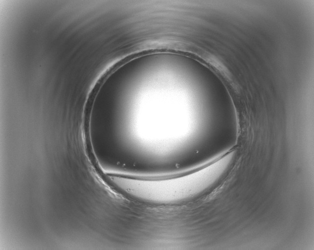 X0000066100888200603171354