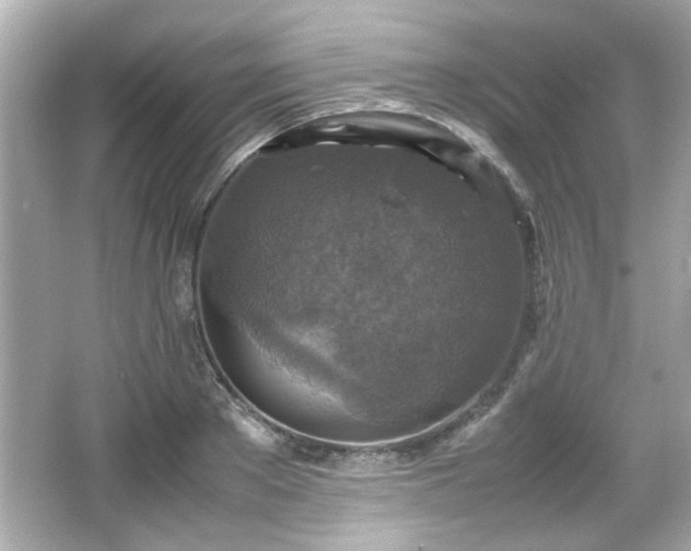 X0000066100889200603171354