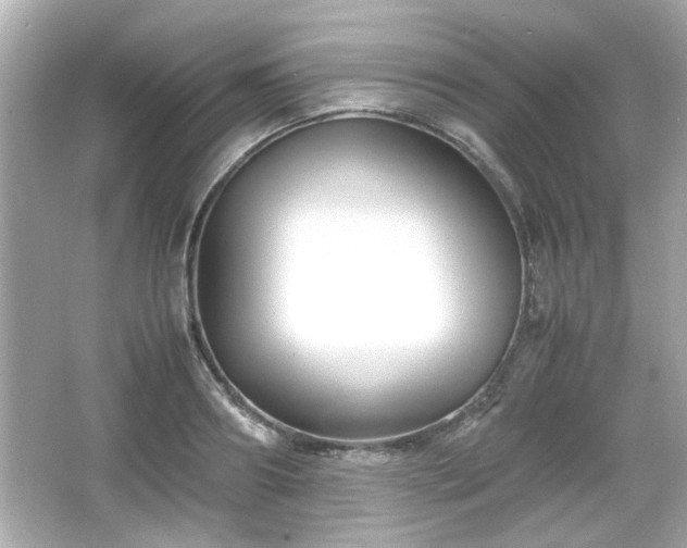 X0000066100890200603171354