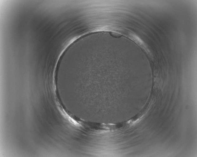 X0000066100892200603171354