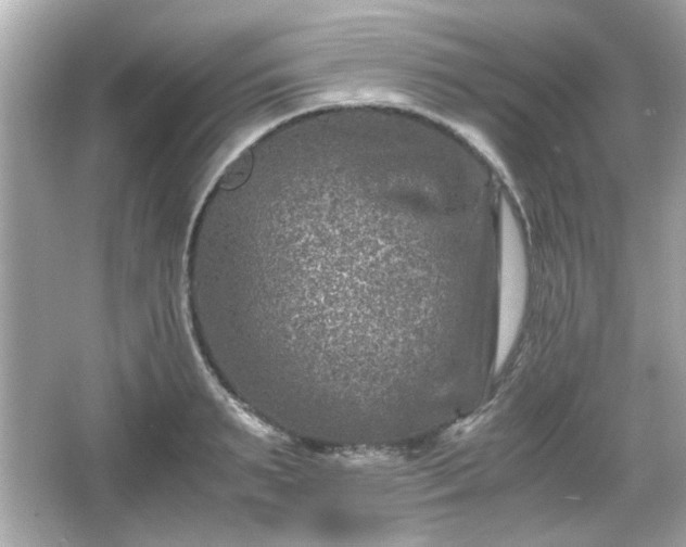 X0000066100895200603171354