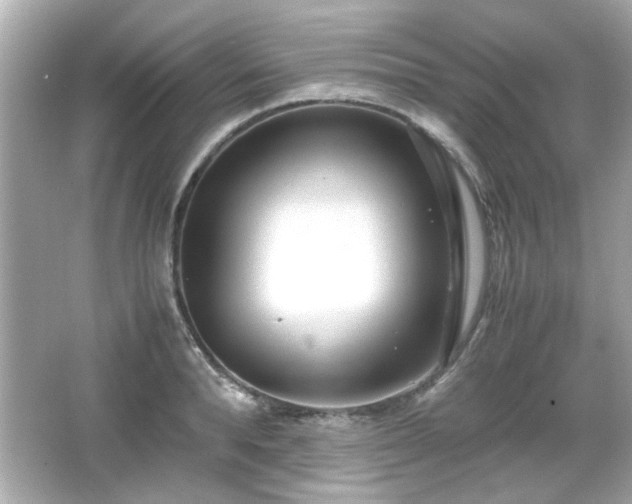 X0000066100896200603171354