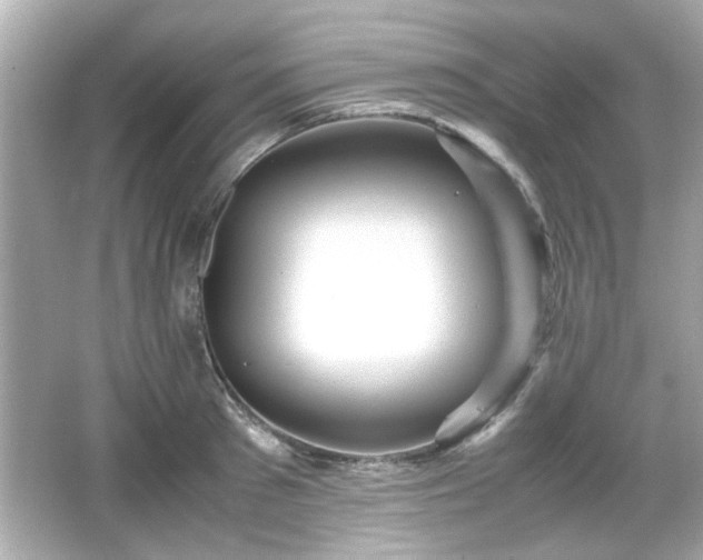 X0000066100897200603171354