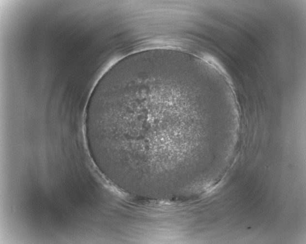 X0000066100899200603171354