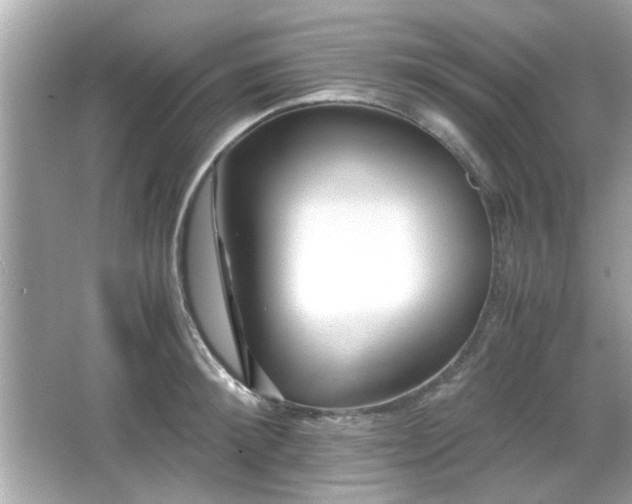 X0000066100900200603171354