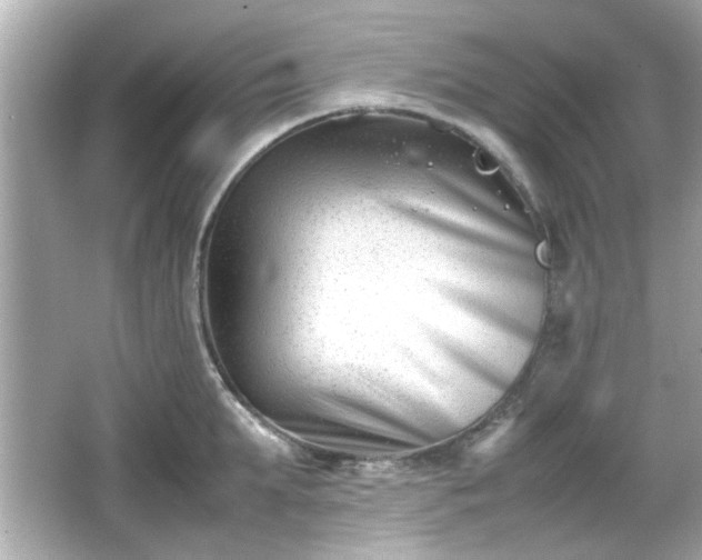 X0000066100903200603171353